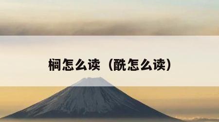 榈怎么读（酰怎么读）