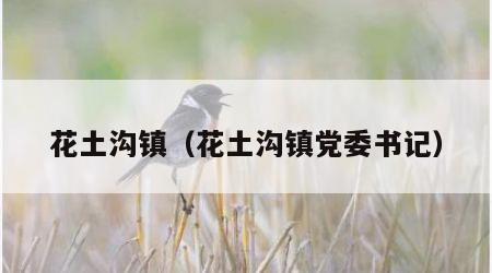 花土沟镇（花土沟镇党委书记）
