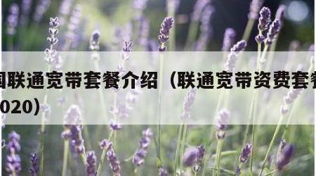 中国联通宽带套餐介绍（联通宽带资费套餐介绍2020）