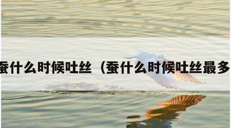 蚕什么时候吐丝（蚕什么时候吐丝最多）