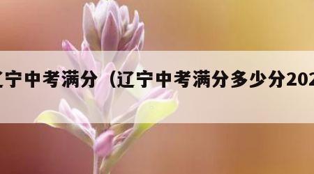 辽宁中考满分（辽宁中考满分多少分2021）