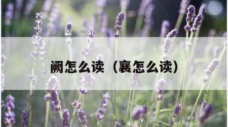 阙怎么读（襄怎么读）