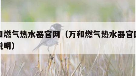 万和燃气热水器官网（万和燃气热水器官网使用说明）