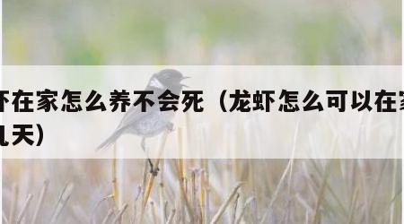 龙虾在家怎么养不会死（龙虾怎么可以在家中养几天）