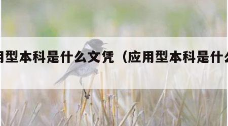 应用型本科是什么文凭（应用型本科是什么学历）