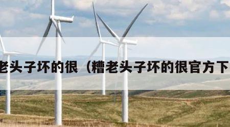 糟老头子坏的很（糟老头子坏的很官方下载）