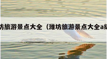 潍坊旅游景点大全（潍坊旅游景点大全a级景区）