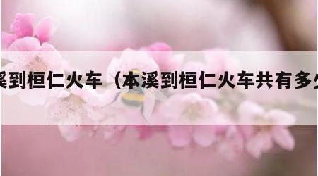 本溪到桓仁火车（本溪到桓仁火车共有多少站）
