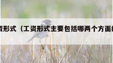 工资形式（工资形式主要包括哪两个方面的内容）