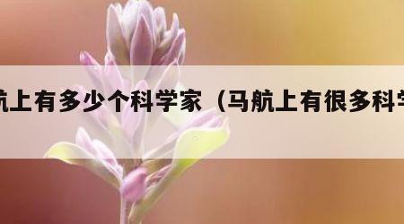 马航上有多少个科学家（马航上有很多科学家?）