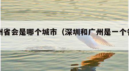 广州省会是哪个城市（深圳和广州是一个省吗）