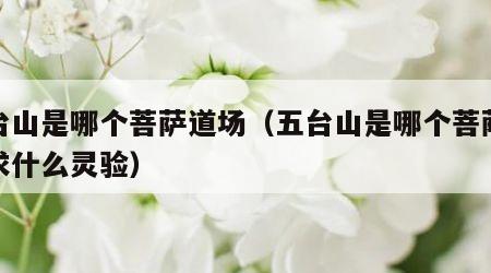 五台山是哪个菩萨道场（五台山是哪个菩萨道场求什么灵验）