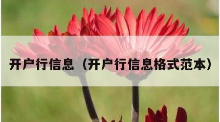 开户行信息（开户行信息格式范本）