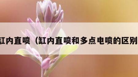 缸内直喷（缸内直喷和多点电喷的区别）