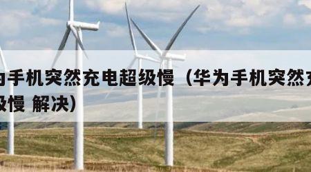华为手机突然充电超级慢（华为手机突然充电超级慢 解决）