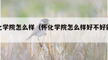 怀化学院怎么样（怀化学院怎么样好不好就业）