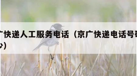 京广快递人工服务电话（京广快递电话号码是多少）