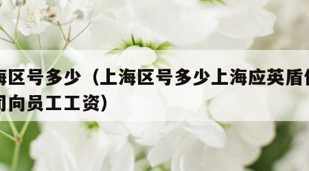上海区号多少（上海区号多少上海应英盾保安公司向员工工资）