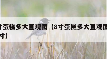 8寸蛋糕多大直观图（8寸蛋糕多大直观图和十寸）