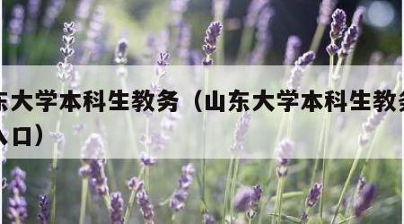 山东大学本科生教务（山东大学本科生教务系统入口）