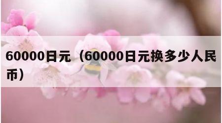 60000日元（60000日元换多少人民币）