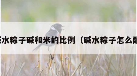 碱水粽子碱和米的比例（碱水粽子怎么配）