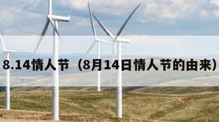 8.14情人节（8月14日情人节的由来）
