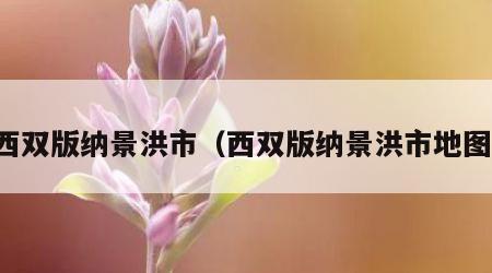 西双版纳景洪市（西双版纳景洪市地图）