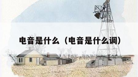 电音是什么（电音是什么调）