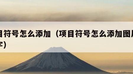项目符号怎么添加（项目符号怎么添加图片和文字）