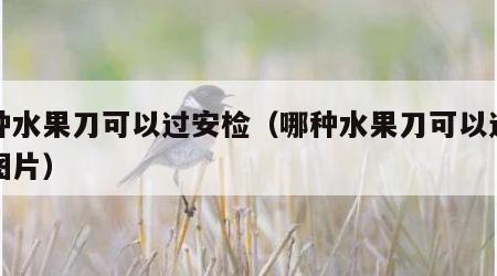 哪种水果刀可以过安检（哪种水果刀可以过安检图片）