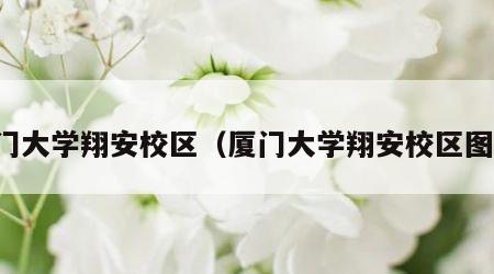 厦门大学翔安校区（厦门大学翔安校区图片）