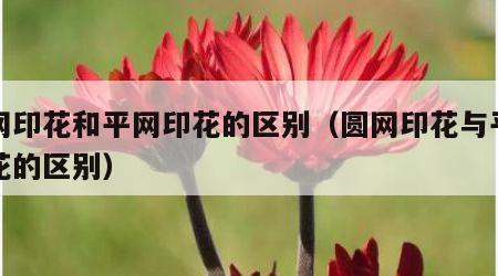 圆网印花和平网印花的区别（圆网印花与平网印花的区别）
