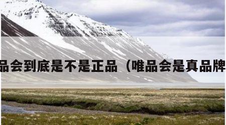 唯品会到底是不是正品（唯品会是真品牌吗）