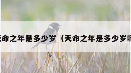 天命之年是多少岁（天命之年是多少岁啊）