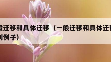 一般迁移和具体迁移（一般迁移和具体迁移的区别例子）