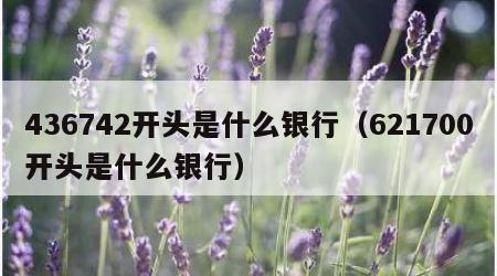 436742开头是什么银行（621700开头是什么银行）