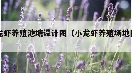 小龙虾养殖池塘设计图（小龙虾养殖场地图片）