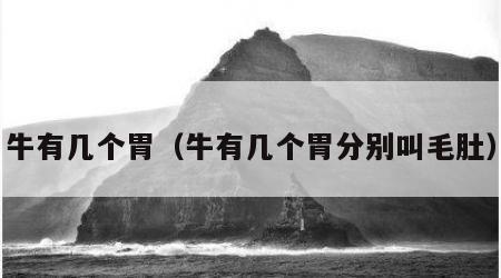 牛有几个胃（牛有几个胃分别叫毛肚）