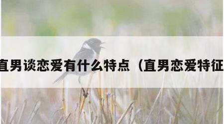 直男谈恋爱有什么特点（直男恋爱特征）