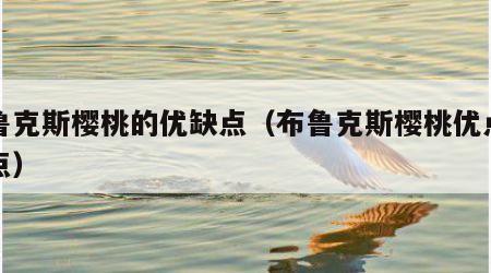 布鲁克斯樱桃的优缺点（布鲁克斯樱桃优点和缺点）