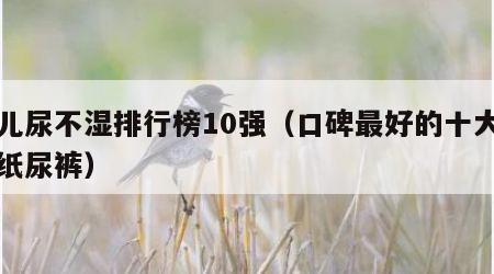 婴儿尿不湿排行榜10强（口碑最好的十大婴儿纸尿裤）