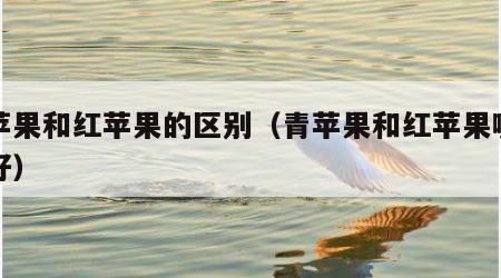 青苹果和红苹果的区别（青苹果和红苹果哪个更好）