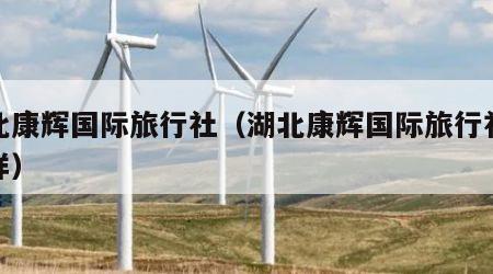湖北康辉国际旅行社（湖北康辉国际旅行社怎么样）