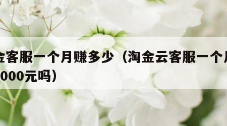 淘金客服一个月赚多少（淘金云客服一个月能挣3000元吗）