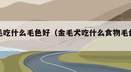金毛吃什么毛色好（金毛犬吃什么食物毛色好看）