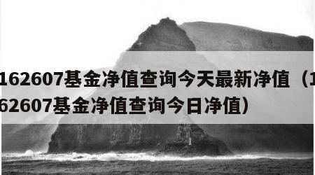 162607基金净值查询今天最新净值（162607基金净值查询今日净值）