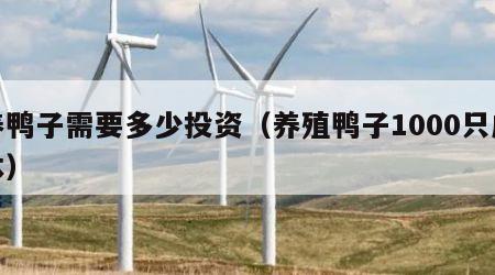 养鸭子需要多少投资（养殖鸭子1000只成本）