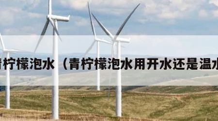 青柠檬泡水（青柠檬泡水用开水还是温水）