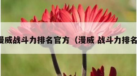 漫威战斗力排名官方（漫威 战斗力排名）